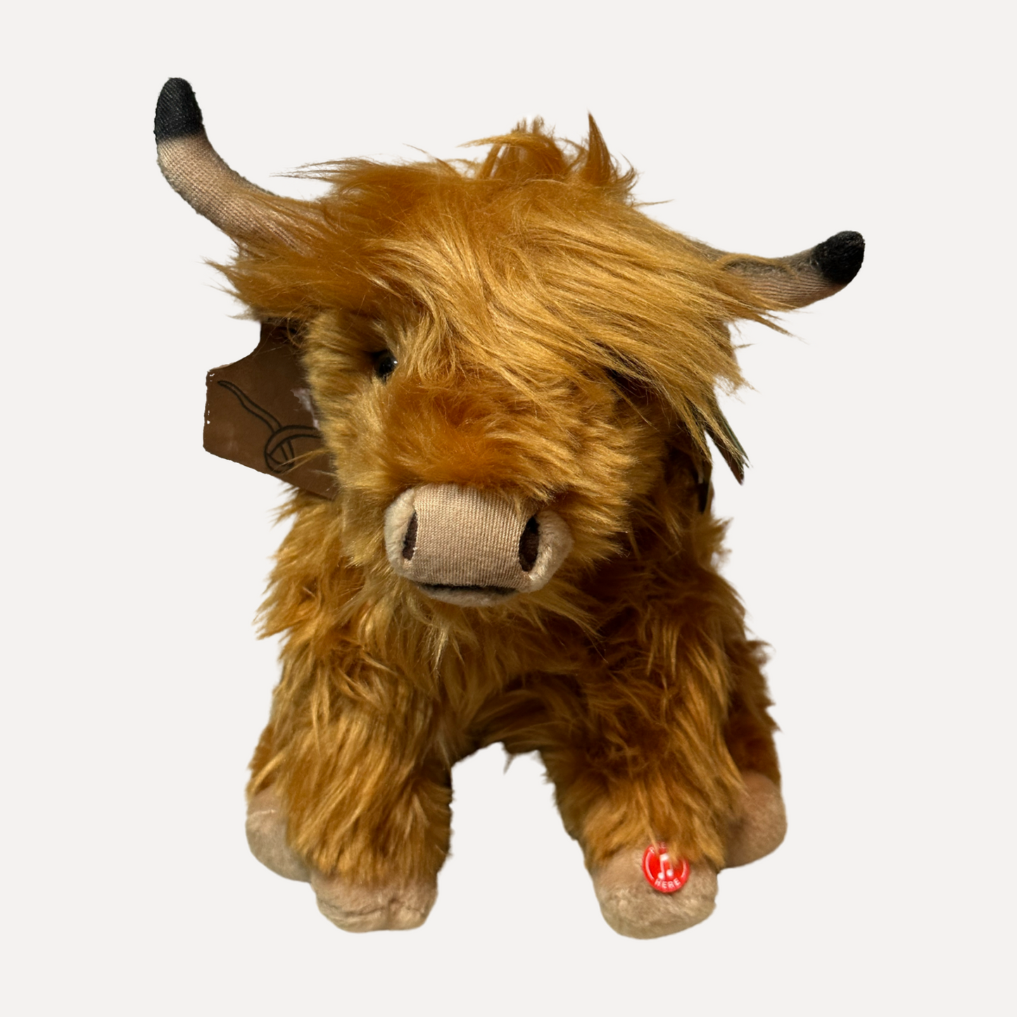 Highland COO SUPPORT BOX