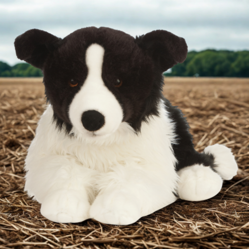 Giant Border Collie Plushy